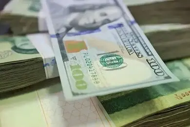 ضربه مهلک سیاست ارز چندنرخی بر پیکر صنعت