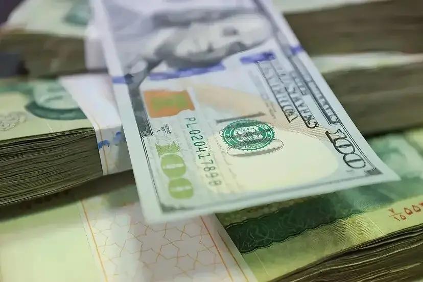 ضربه مهلک سیاست ارز چندنرخی بر پیکر صنعت