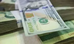 ضربه مهلک سیاست ارز چندنرخی بر پیکر صنعت