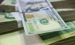 ضربه مهلک سیاست ارز چندنرخی بر پیکر صنعت