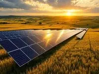 نیروگاه‌های خورشیدی مشترک راه نجات تولیدکنندگان شد