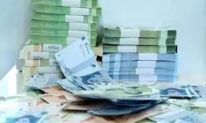 افزایش 40 درصدی سود صندوق درآمد ثابت کاریزما  