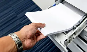 همه چیز در باره برند کپی مکس 