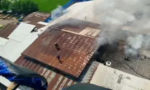 آتش به جان درین پودر کالین افتاد