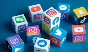 پیلبان و رهنما کالج؛ حامی استعدادها برای ورود آسان‌تر به بوت‌کمپ سوشال مدیا