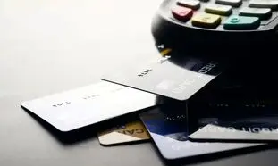 محبوب‌ترین فروشگاه‌های تارا از نگاه کاربران