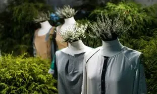 هر آنچه باید از فشن سبز بدانید