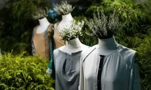 هر آنچه باید از فشن سبز بدانید