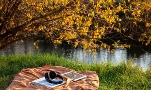 جشنواره هفته کتاب فیدیبو با تخفیف‌ هایی تا ۷۰ درصد