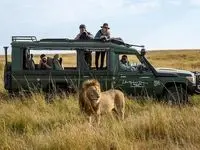 چرا کنیا بهترین مقصد آفریقایی برای ایرانیان است؟