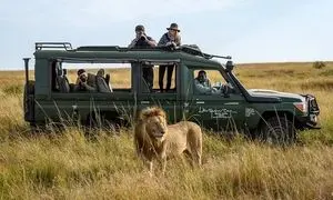 چرا کنیا بهترین مقصد آفریقایی برای ایرانیان است؟