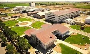 تداوم فعالیت نستله ایران در شرایط جاری؛ تمرکز بر پایداری و تأمین نیاز بازار