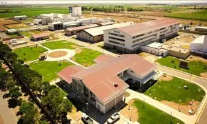 تداوم فعالیت نستله ایران در شرایط جاری؛ تمرکز بر پایداری و تأمین نیاز بازار