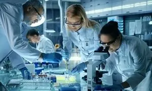 اعطای کمک هزینه تحقیق و توسعه صندوق نوآوری و شکوفایی