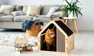 خدمات اورژانسی و اضطراری دامپزشکی در شیراز