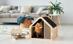 خدمات اورژانسی و اضطراری دامپزشکی در شیراز