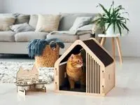 خدمات اورژانسی و اضطراری دامپزشکی در شیراز