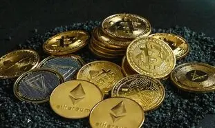 حضور والکس در پانزدهمین نمایشگاه کار شریف 