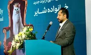 فیلاین 75؛ عضو جدید خانواده شایر رونمایی شد
