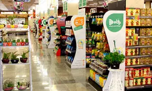 رفاه ایران؛ تجربه‌ای به‌ صرفه و هیجان‌ انگیز در خرید