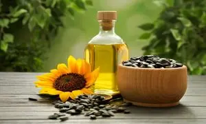 موفقیتی دیگر برای گروه صنعتی رزگل روغن آذربایجان