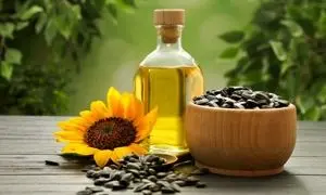 موفقیتی دیگر برای گروه صنعتی رزگل روغن آذربایجان