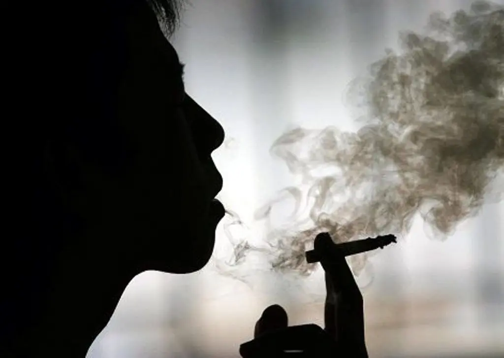 نشرنی میزبان جلسه نقد و بررسی «افیون زدگان» شد