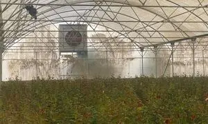 بهترین کولر صنعتی برای گلخانه و مزایای آن