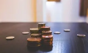 بازدهی یک‌ساله تا ۲۲۰ درصدی صندوق سورنافود
