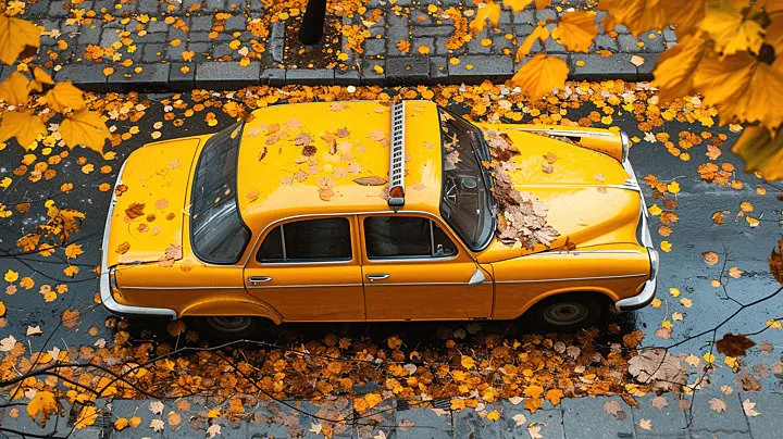 طرح زوج و فرد گریبان تاکسی های اینترنتی را گرفت