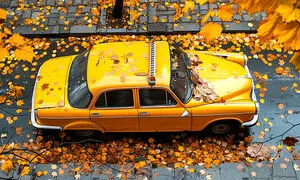 طرح زوج و فرد گریبان تاکسی های اینترنتی را گرفت