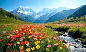 هزینه سفر به هند در سال ۱۴۰۴