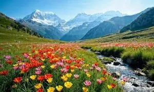 هزینه سفر به هند در سال ۱۴۰۴