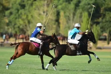 زورخانه و چوگان در ویترین بلگراد