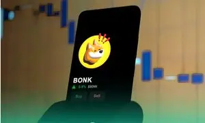 از ریزش قیمتی رمزارز بونک نترسید