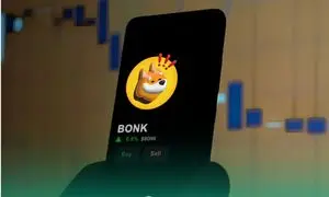 از ریزش قیمتی رمزارز بونک نترسید