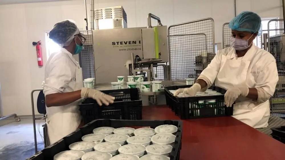 نگاهی به فروش داخلی و خارجی شرکتهای لبنی