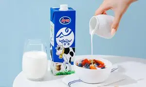استمرار حضور دومینو در بازار لبنیات ایران 