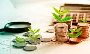 صندوق گنجینه زرین شهر 14 ساله شد