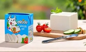 انتشار گاهنامه طنز «کاغذبازی» از سوی لبنیات روزانه