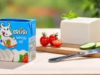 انتشار گاهنامه طنز «کاغذبازی» از سوی لبنیات روزانه