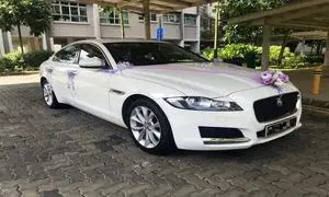 چطور انتخابی لوکس و مقرون به صرفه برای احاره ماشین عروس داشته باشیم؟