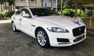 چطور انتخابی لوکس و مقرون به صرفه برای احاره ماشین عروس داشته باشیم؟