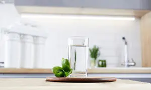 چرا یک دستگاه تصفیه آب، دیگر یک کالای لوکس نیست؟