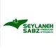 سیلانه سبز