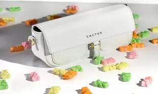 ۵  کیف چرم زنانه که همیشه مد است