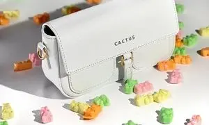 ۵  کیف چرم زنانه که همیشه مد است