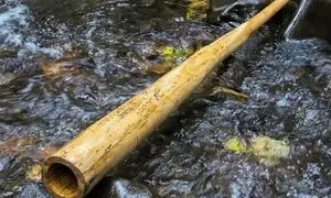  نکاتی که قبل از خرید سازهای بادی باید بدانید