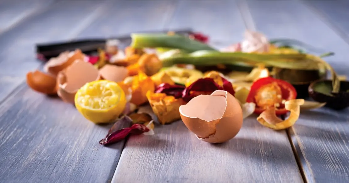 مدیریت پسماند غذایی در سازمان‌ها؛ راهکارهایی برای کاهش هدررفت غذا