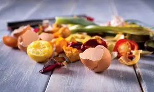 مدیریت پسماند غذایی در سازمان‌ها؛ راهکارهایی برای کاهش هدررفت غذا